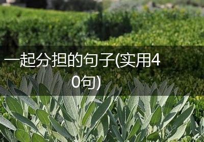 一起分担的句子(实用40句)