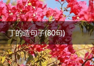 丁的造句子(80句)