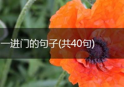 一进门的句子(共40句)