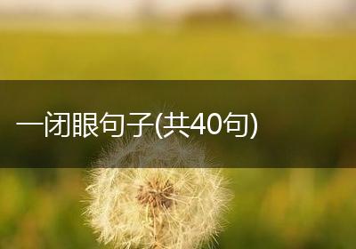 一闭眼句子(共40句)