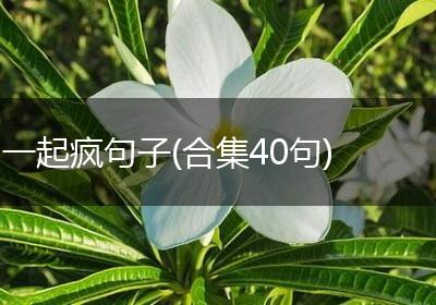 一起疯句子(合集40句)