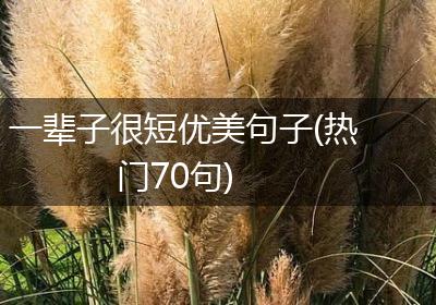 一辈子很短优美句子(热门70句)