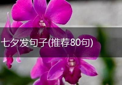 七夕发句子(推荐80句)