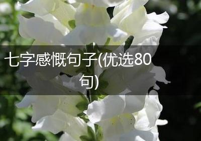 七字感慨句子(优选80句)