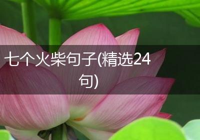 七个火柴句子(精选24句)