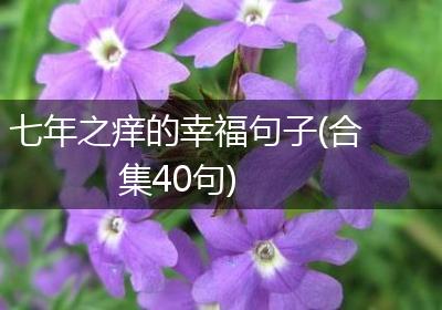 七年之痒的幸福句子(合集40句)