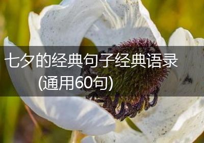 七夕的经典句子经典语录(通用60句)