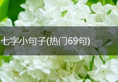 七字小句子(热门69句)