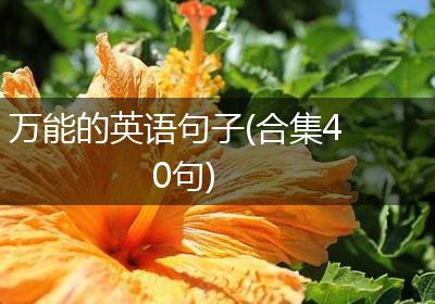 万能的英语句子(合集40句)