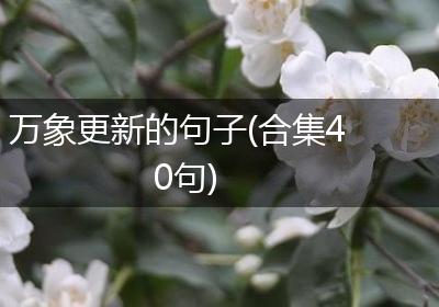 万象更新的句子(合集40句)