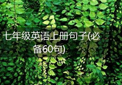 七年级英语上册句子(必备60句)