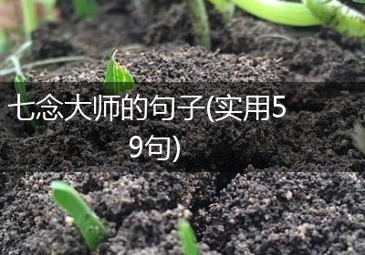 七念大师的句子(实用59句)