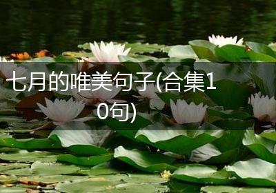 七月的唯美句子(合集10句)