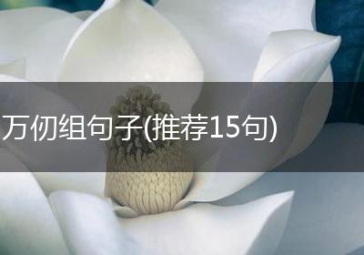 万仞组句子(推荐15句)