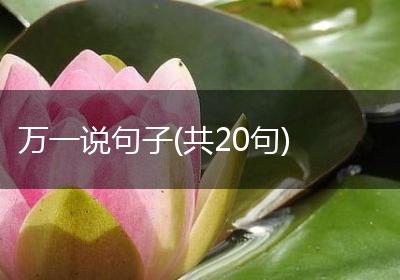 万一说句子(共20句)