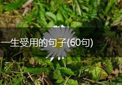 一生受用的句子(60句)