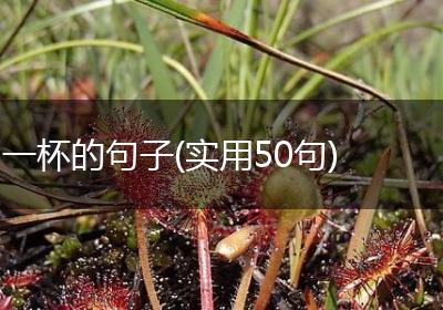一杯的句子(实用50句)