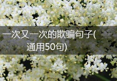 一次又一次的欺骗句子(通用50句)