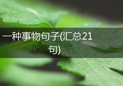 一种事物句子(汇总21句)