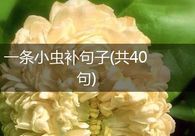 一条小虫补句子(共40句)