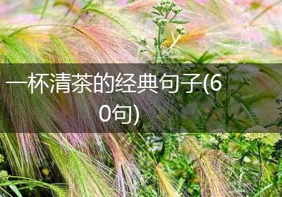 一杯清茶的经典句子(60句)