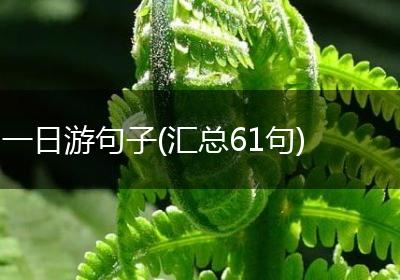 一日游句子(汇总61句)