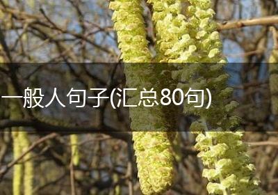 一般人句子(汇总80句)