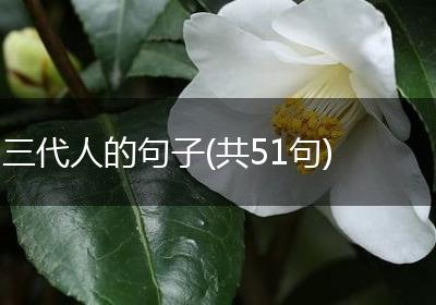 三代人的句子(共51句)