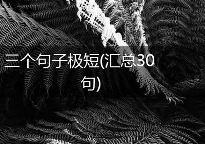三个句子极短(汇总30句)