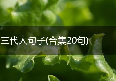 三代人句子(合集20句)