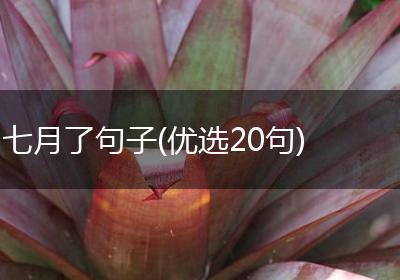 七月了句子(优选20句)