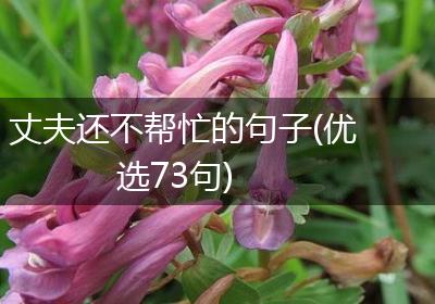 丈夫还不帮忙的句子(优选73句)