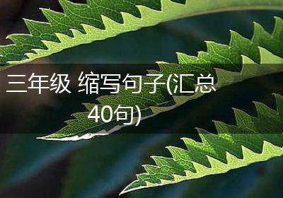 三年级 缩写句子(汇总40句)