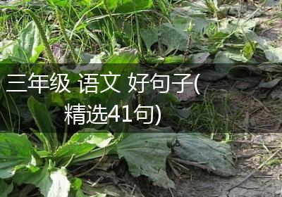 三年级 语文 好句子(精选41句)