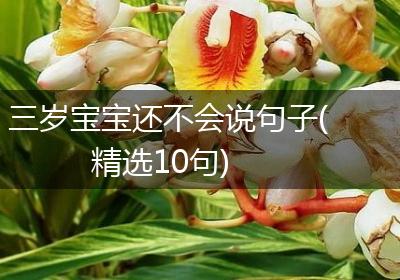 三岁宝宝还不会说句子(精选10句)