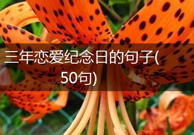三年恋爱纪念日的句子(50句)