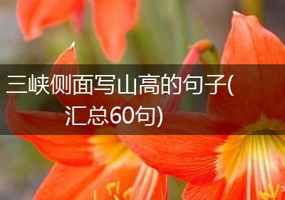 三峡侧面写山高的句子(汇总60句)