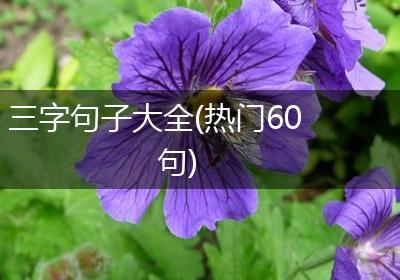三字句子大全(热门60句)