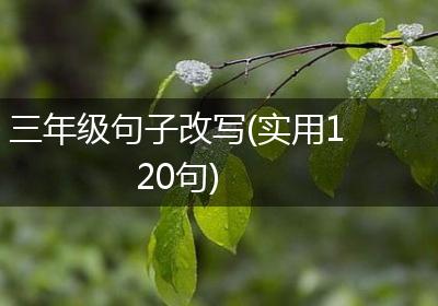 三年级句子改写(实用120句)