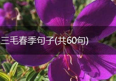 三毛春季句子(共60句)