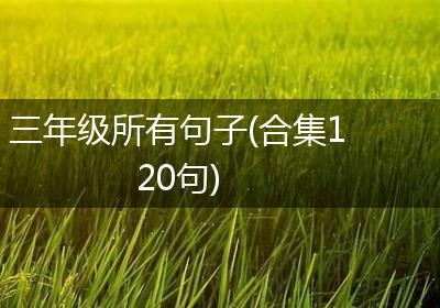 三年级所有句子(合集120句)