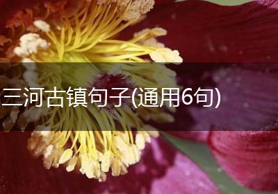 三河古镇句子(通用6句)