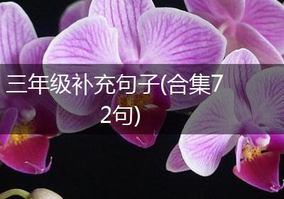 三年级补充句子(合集72句)