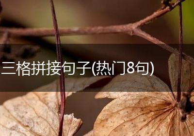 三格拼接句子(热门8句)