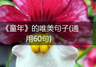 《童年》的唯美句子(通用60句)