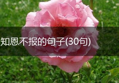 知恩不报的句子(30句)