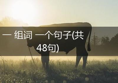 一 组词 一个句子(共48句)