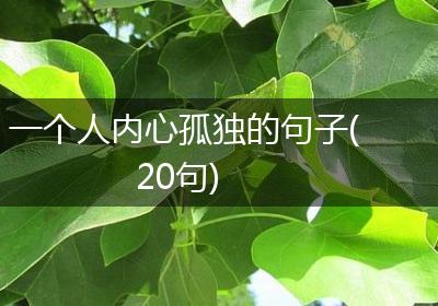 一个人内心孤独的句子(20句)