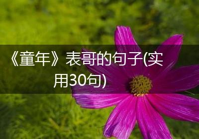 《童年》表哥的句子(实用30句)