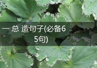 一 总 造句子(必备65句)